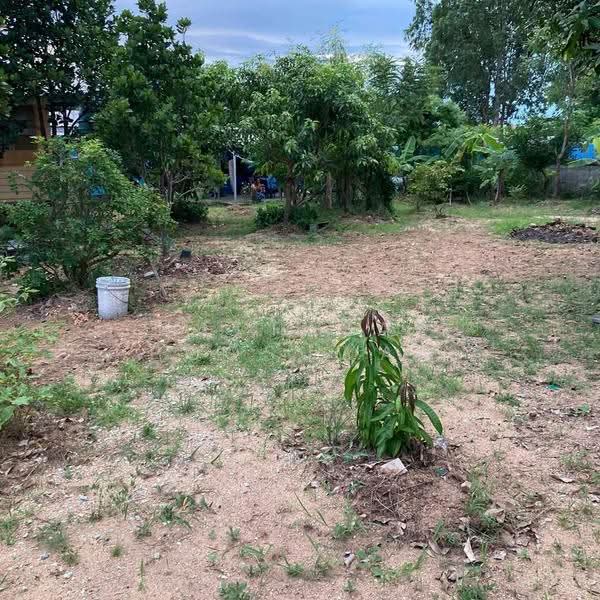 2-BR House, Chon Buri (Pattaya), Nong Pla Lai, Bang Lamung (Pattaya), Chon Buri (Pattaya), 2 Bedrooms, 66 sqm, Single Detached House For Sale, by Nattasak Poosuwan, 500514692 - DDproperty.com