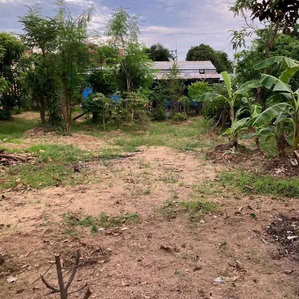 บ้าน 2-ห้องนอน, ชลบุรี, หนองปลาไหล, บางละมุง, ชลบุรี, 66 ตร.ม., บ้านเดี่ยว ขาย, โดย Nattasak Poosuwan, 500514692 - DDproperty.com