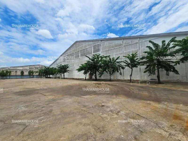 11,389 SQM Warehouse for Rent in Om Noi, Krathum Baen, Samut Sakhon | Main Road 40-FootTrailercess, Samut Sakhon, Om Noi, Krathum Baen, Samut Sakhon, , 11,389 sqm, Warehouse/Factory For Rent, by THAI WAREHOUSE FACTORY CO., LTD., 500514775 - DDproperty.com
