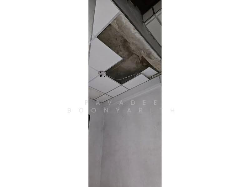 undefined, Bangkok, Bangmot, Thung Khru, Bangkok, 4 Bedrooms, 368 sqm, Townhouse For Sale, by Pavadee Boonyarith, 500514829 - DDproperty.com