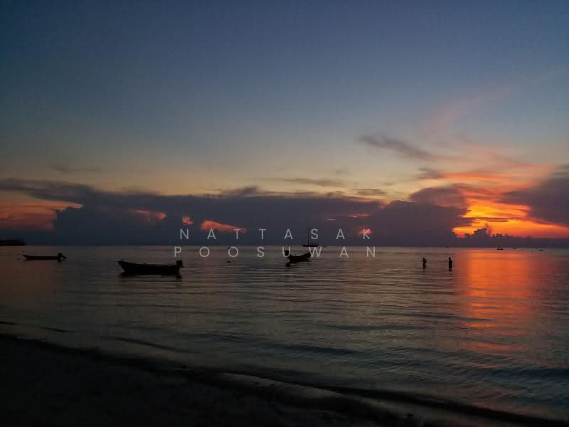 undefined, Surat Thani, Ko Phangan, Ko Phangan, Surat Thani, 4 Bedrooms, 250 sqm, Villa For Sale, by Nattasak Poosuwan, 500514896 - DDproperty.com