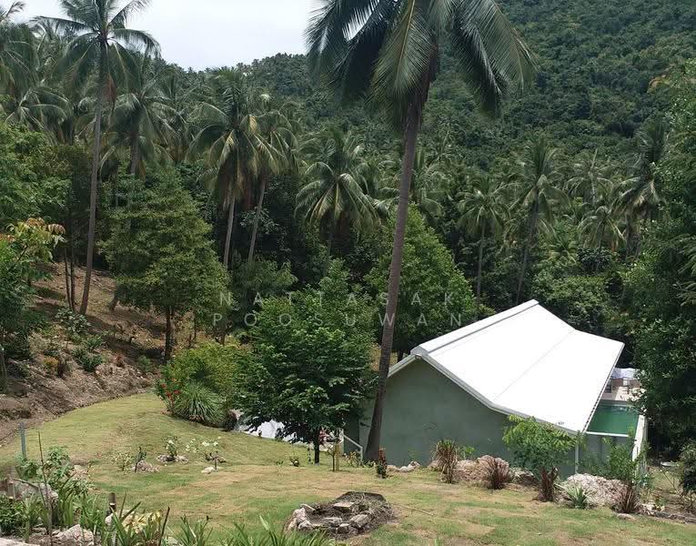 undefined, Surat Thani, Ko Phangan, Ko Phangan, Surat Thani, 4 Bedrooms, 250 sqm, Villa For Sale, by Nattasak Poosuwan, 500514896 - DDproperty.com