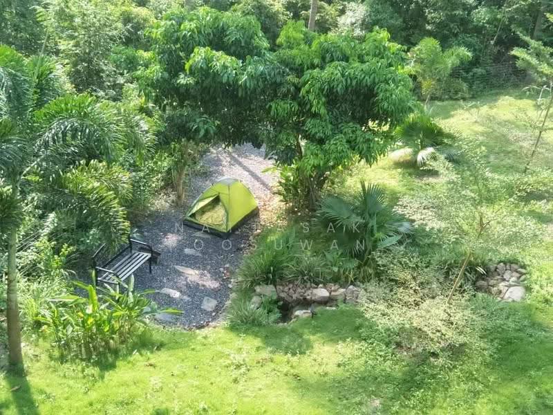 undefined, Surat Thani, Ko Phangan, Ko Phangan, Surat Thani, 4 Bedrooms, 250 sqm, Villa For Sale, by Nattasak Poosuwan, 500514896 - DDproperty.com