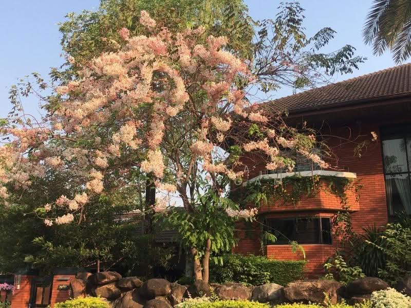 บ้าน 3-ห้องนอน, กรุงเทพ, บางชัน, คลองสามวา, กรุงเทพ, 1,200 ตร.ม., บ้านเดี่ยว ขาย, โดย Anthea Khwanngam, 500514907 - DDproperty.com