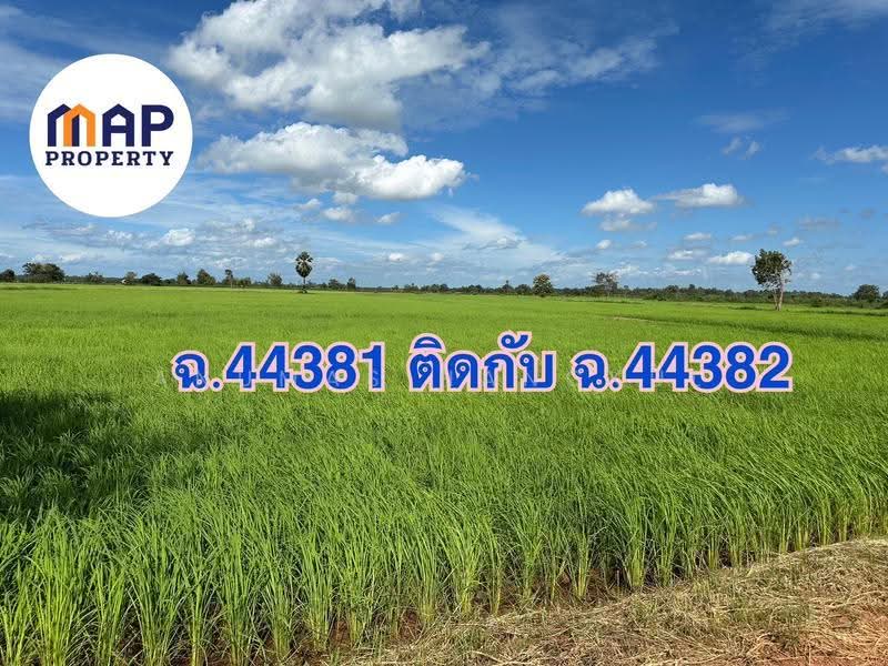 โอกาสทองนักลงทุุน! และเกษตรกร ขายที่นาแปลงใหญ่ 18 ไร่ รวม 2 โฉนด ทำเลดี น้ำพร้อม ทำเกษตรต่อได้ทันที, สกลนคร, พรรณา, พรรณานิคม, สกลนคร, 29,980 ตร.ม., ที่ดิน ขาย, โดย Anumas Hangkul, 500515127 - DDproperty.com
