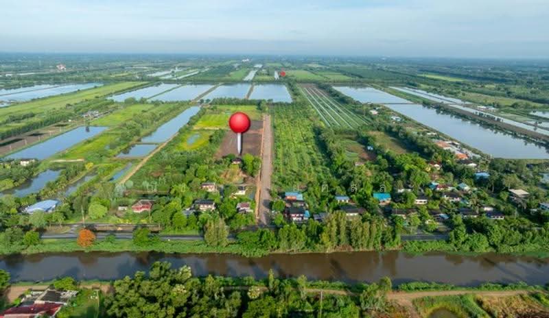 ไม่พบโครงการ, Pathum Thani, , Sala Khru, Nong Sua, Pathum Thani, , 800 sqm, Land For Sale, by Phanitchaya Yossala, 500515339 - DDproperty.com
