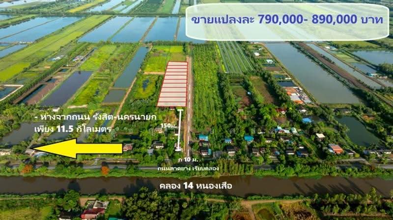ไม่พบโครงการ, Pathum Thani, , Sala Khru, Nong Sua, Pathum Thani, , 800 sqm, Land For Sale, by Phanitchaya Yossala, 500515339 - DDproperty.com