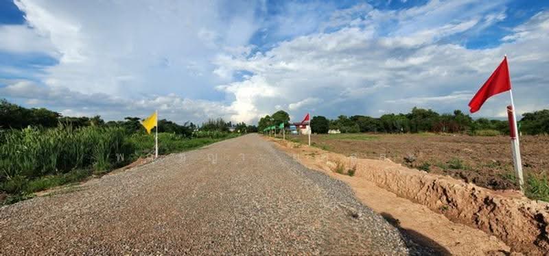 ไม่พบโครงการ, Pathum Thani, , Sala Khru, Nong Sua, Pathum Thani, , 800 sqm, Land For Sale, by Phanitchaya Yossala, 500515339 - DDproperty.com