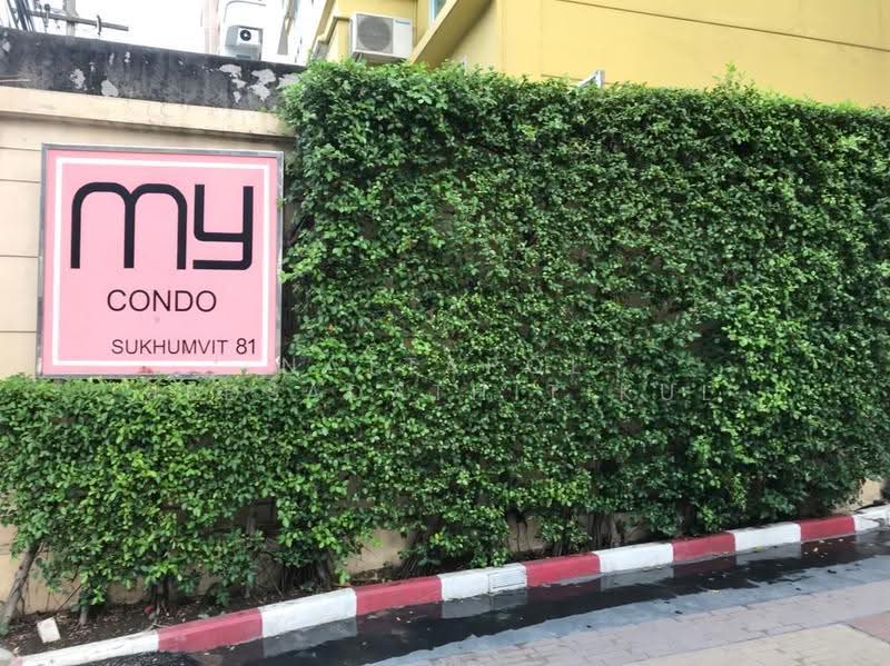 My Condo Sukhumvit 81, Bangkok, Soi Sukhumvit 81 Sukhumvit Road, Bang Chak, Phra Khanong, Bangkok, 1 Bedroom, 35 sqm, Condo For Rent, by Nattapol Jedsadathitikul, 500515344 - DDproperty.com