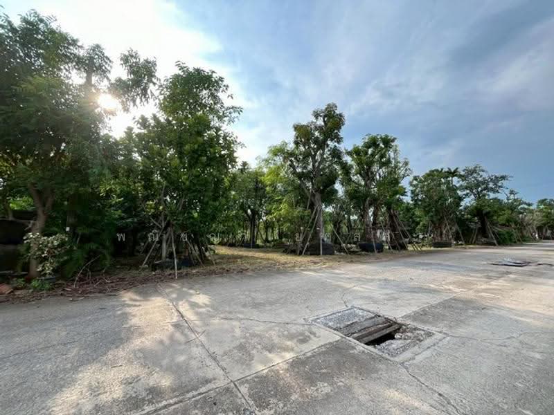 ไม่พบโครงการ, ปทุมธานี, , บึงสนั่น, ธัญบุรี, ปทุมธานี, 1,608 ตร.ม., ที่ดิน ขาย, โดย พณิชญา ยศสละ, 500515347 - DDproperty.com