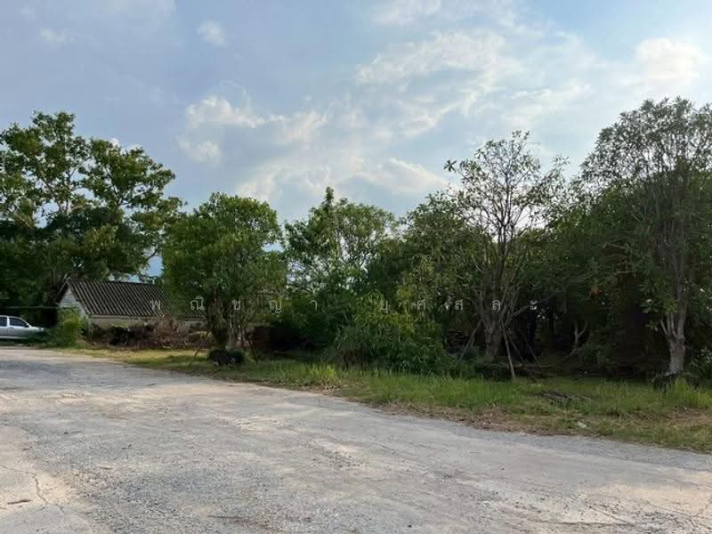 ไม่พบโครงการ, ปทุมธานี, , บึงสนั่น, ธัญบุรี, ปทุมธานี, 1,608 ตร.ม., ที่ดิน ขาย, โดย พณิชญา ยศสละ, 500515347 - DDproperty.com