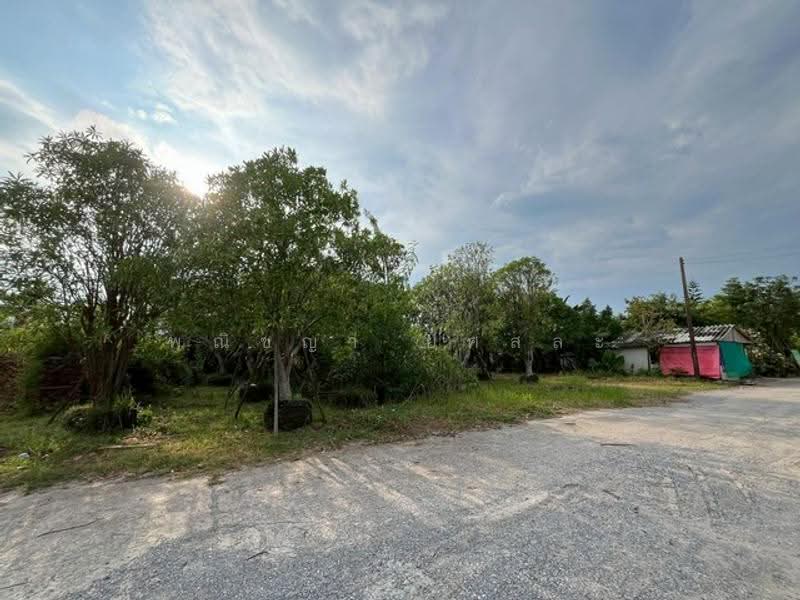 ไม่พบโครงการ, Pathum Thani, , Bung Sanan, Thanyaburi, Pathum Thani, , 1,608 sqm, Land For Sale, by Phanitchaya Yossala, 500515347 - DDproperty.com