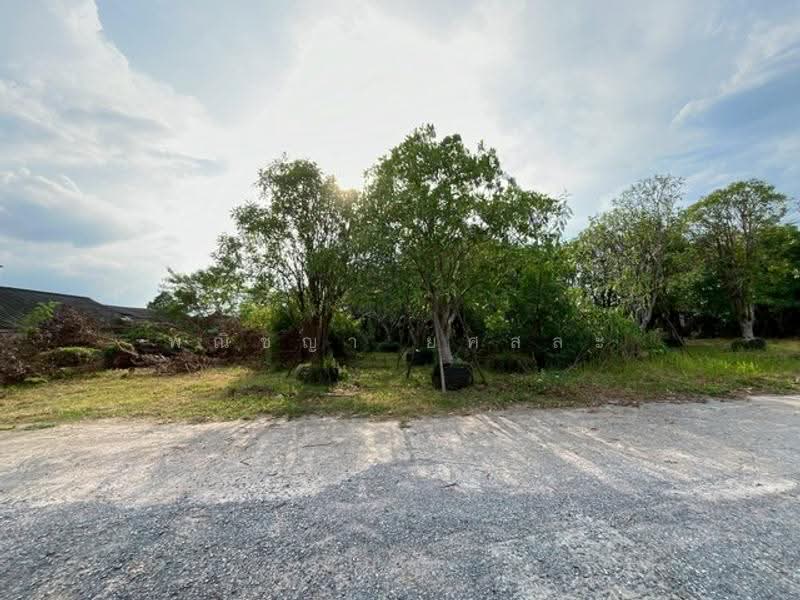 ไม่พบโครงการ, Pathum Thani, , Bung Sanan, Thanyaburi, Pathum Thani, , 1,608 sqm, Land For Sale, by Phanitchaya Yossala, 500515347 - DDproperty.com