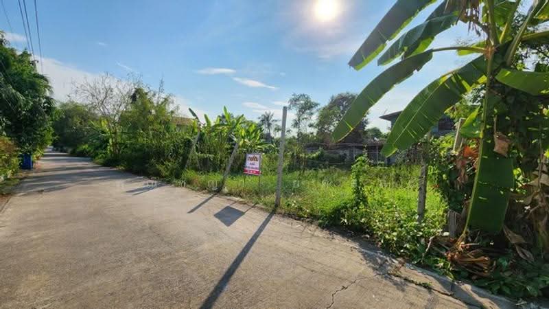 ไม่พบโครงการ, ปทุมธานี, , ลำผักกูด, ธัญบุรี, ปทุมธานี, 200 ตร.ม., ที่ดิน ขาย, โดย พณิชญา ยศสละ, 500515368 - DDproperty.com