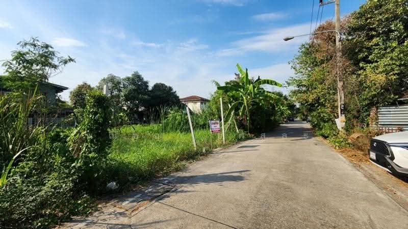 ไม่พบโครงการ, ปทุมธานี, , ลำผักกูด, ธัญบุรี, ปทุมธานี, 200 ตร.ม., ที่ดิน ขาย, โดย พณิชญา ยศสละ, 500515368 - DDproperty.com