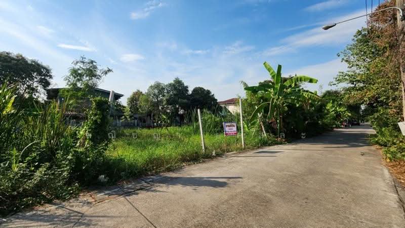 ไม่พบโครงการ, ปทุมธานี, , ลำผักกูด, ธัญบุรี, ปทุมธานี, 200 ตร.ม., ที่ดิน ขาย, โดย พณิชญา ยศสละ, 500515368 - DDproperty.com