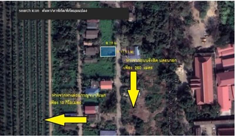 ไม่พบโครงการ, ปทุมธานี, , ลำผักกูด, ธัญบุรี, ปทุมธานี, 200 ตร.ม., ที่ดิน ขาย, โดย พณิชญา ยศสละ, 500515368 - DDproperty.com