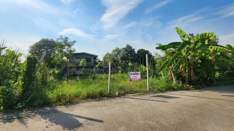 ไม่พบโครงการ, ปทุมธานี, , ลำผักกูด, ธัญบุรี, ปทุมธานี, 200 ตร.ม., ที่ดิน ขาย, โดย พณิชญา ยศสละ, 500515368 - DDproperty.com