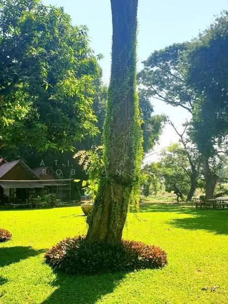 The Green 2, Saraburi, Nong Khai Nam, Nong Khae, Saraburi, 3 Bedrooms, 200 sqm, Condo For Sale, by Atitayaporn Robwongjan, 500515612 - DDproperty.com
