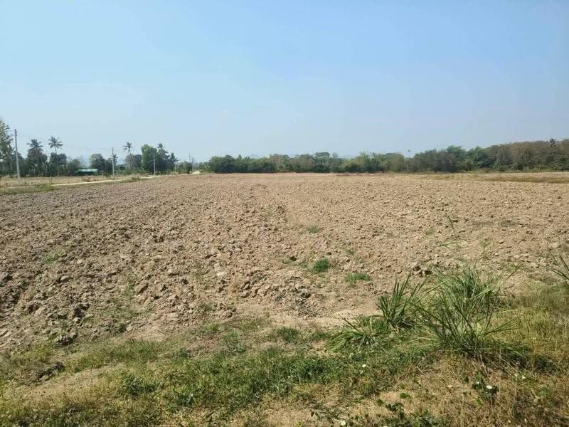 Vacant Land 114-1-07 Rais Nong Ya Plong, Phetchaburi Province Near Montoro Resort, Phetchaburi, ทางหลวง 3349, Yang Nam Klat Nua, Nong Ya Plong, Phetchaburi, , 182,828 sqm, Land For Sale, by Surasak Satho, 500515622 - DDproperty.com