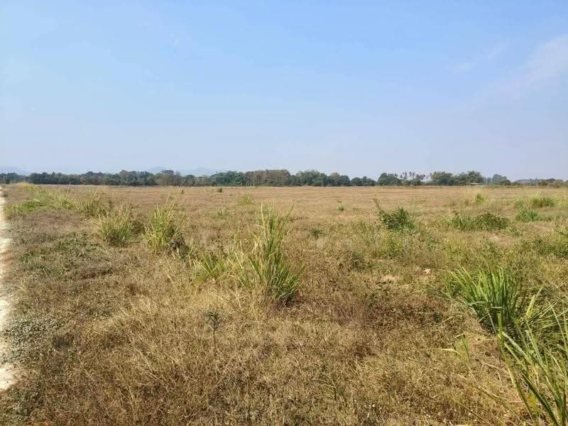 Vacant Land 114-1-07 Rais Nong Ya Plong, Phetchaburi Province Near Montoro Resort, Phetchaburi, ทางหลวง 3349, Yang Nam Klat Nua, Nong Ya Plong, Phetchaburi, , 182,828 sqm, Land For Sale, by Surasak Satho, 500515622 - DDproperty.com