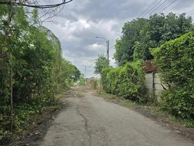 ไม่พบโครงการ, Bangkok, กรุงเทพกรีฑา, Thap Chang, Saphan Sung, Bangkok, , 484 sqm, Land For Sale, by รัตนฉัตร์ ชยานันท์สิริภัค, 500515662 - DDproperty.com