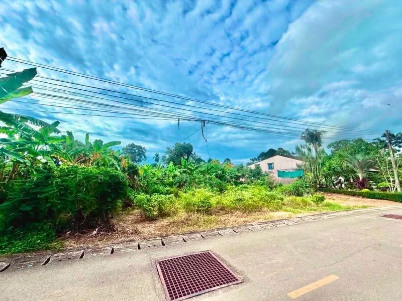 ที่ดินโคกหม้อ ตรัง, Trang, Khok Lo, Muang Trang, Trang, , 624 sqm, Land For Sale, by The Best Property เฟย, 500515669 - DDproperty.com
