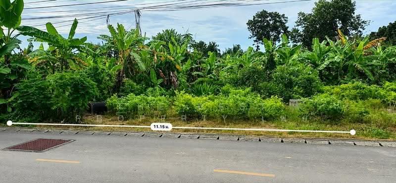 ที่ดินโคกหม้อ ตรัง, ตรัง, โคกหล่อ, เมืองตรัง, ตรัง, 624 ตร.ม., ที่ดิน ขาย, โดย The Best Property เฟย, 500515669 - DDproperty.com