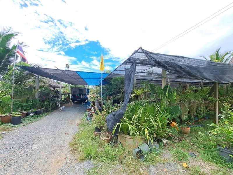 ที่ดินพร้อมสิ่งปลูกสร้างสองพี่น้อง สุพรรณบุรี, Suphan Buri, Nong Bo, Song Phi Nong, Suphan Buri, , 31,500 sqm, Land For Sale, by The Best Property เป๊ก, 500515670 - DDproperty.com