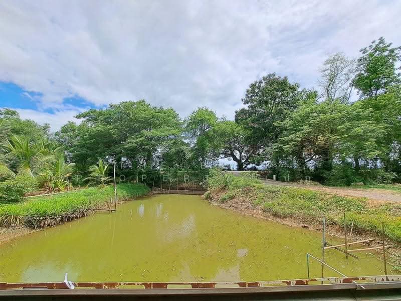 ที่ดินพร้อมสิ่งปลูกสร้างสองพี่น้อง สุพรรณบุรี, Suphan Buri, Nong Bo, Song Phi Nong, Suphan Buri, , 31,500 sqm, Land For Sale, by The Best Property เป๊ก, 500515670 - DDproperty.com