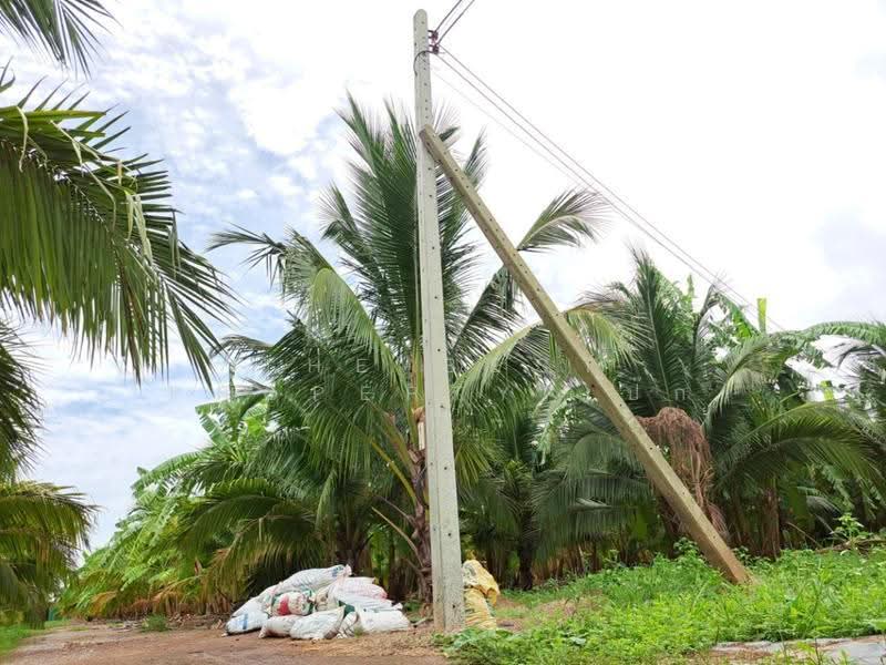 ที่ดินพร้อมสิ่งปลูกสร้างสองพี่น้อง สุพรรณบุรี, สุพรรณบุรี, หนองบ่อ, สองพี่น้อง, สุพรรณบุรี, 31,500 ตร.ม., ที่ดิน ขาย, โดย The Best Property เป๊ก, 500515670 - DDproperty.com