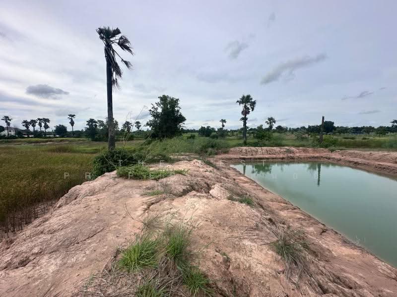 ที่ดินบำเหน็จณรงค์ ชัยภูมิ, Chaiyaphum, Ban Tan, Bamnet Narong, Chaiyaphum, , 9,220 sqm, Land For Sale, by The Best Property ต้นอ้อ, 500515678 - DDproperty.com