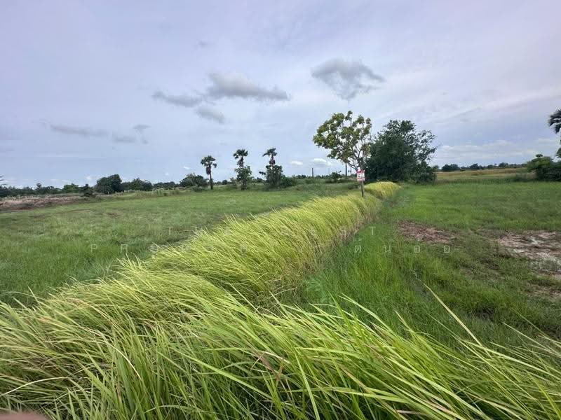 ที่ดินบำเหน็จณรงค์ ชัยภูมิ, Chaiyaphum, Ban Tan, Bamnet Narong, Chaiyaphum, , 9,220 sqm, Land For Sale, by The Best Property ต้นอ้อ, 500515678 - DDproperty.com