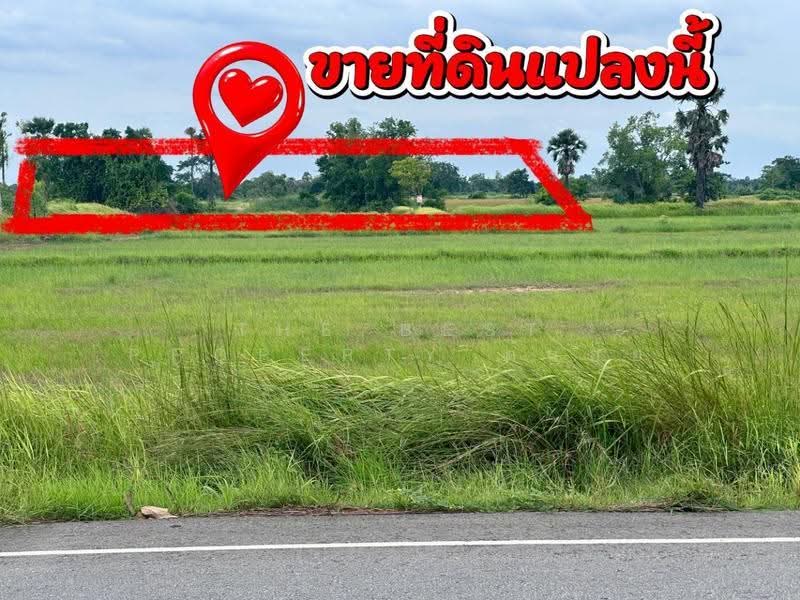 ที่ดินบำเหน็จณรงค์ ชัยภูมิ, ชัยภูมิ, บ้านตาล, บำเหน็จณรงค์, ชัยภูมิ, 9,220 ตร.ม., ที่ดิน ขาย, โดย The Best Property ต้นอ้อ, 500515678 - DDproperty.com