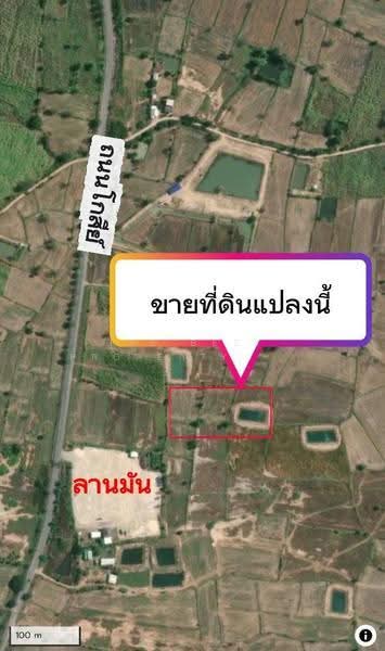 ที่ดินบำเหน็จณรงค์ ชัยภูมิ, Chaiyaphum, Ban Tan, Bamnet Narong, Chaiyaphum, , 9,220 sqm, Land For Sale, by The Best Property ต้นอ้อ, 500515678 - DDproperty.com