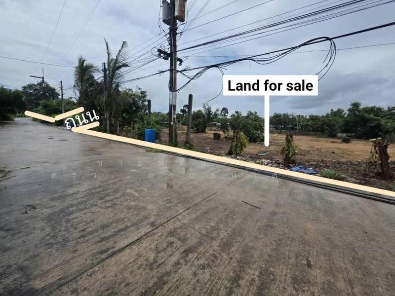 ขายที่ดิน 202 ตรว. ตำบลนาตาขวัญ อำเภอเมือง จังหวัดระยอง, Rayong, Na Ta Khuan, Muang Rayong, Rayong, , 808 sqm, Land For Sale, by คุณรินดา, 500515696 - DDproperty.com