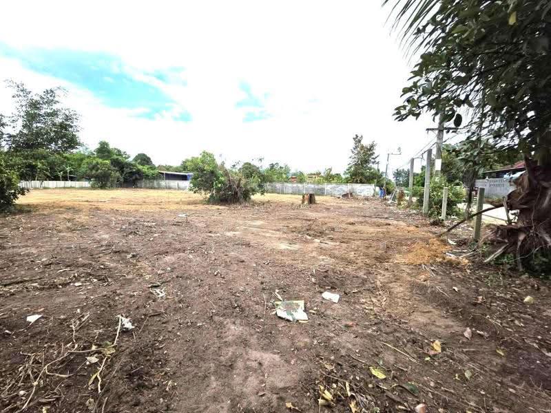 ขายที่ดิน 202 ตรว. ตำบลนาตาขวัญ อำเภอเมือง จังหวัดระยอง, Rayong, Na Ta Khuan, Muang Rayong, Rayong, , 808 sqm, Land For Sale, by คุณรินดา, 500515696 - DDproperty.com