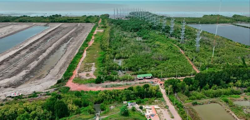 ที่ดินบางหญ้าแพรก สมุทรสาคร, Samut Sakhon, Bang Ya Praek, Muang Samut Sakhon, Samut Sakhon, , 22,977 sqm, Land For Sale, by The Best Property แอน, 500515707 - DDproperty.com