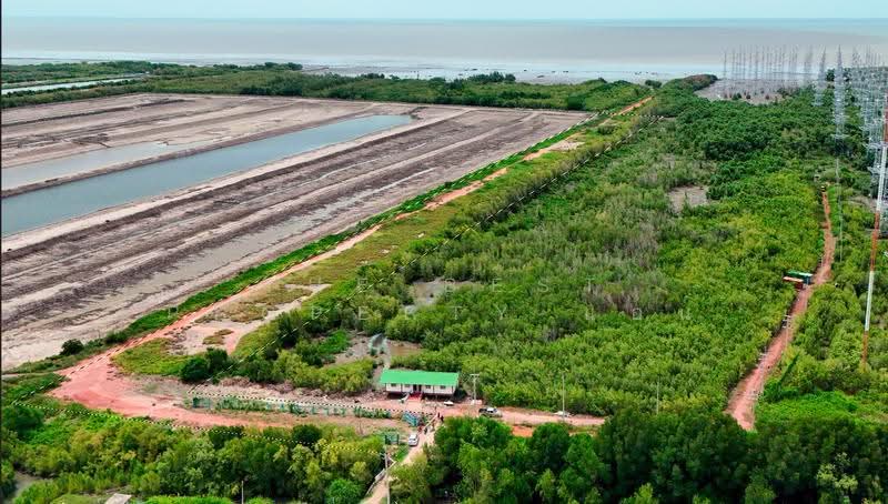 ที่ดินบางหญ้าแพรก สมุทรสาคร, Samut Sakhon, Bang Ya Praek, Muang Samut Sakhon, Samut Sakhon, , 22,977 sqm, Land For Sale, by The Best Property แอน, 500515707 - DDproperty.com