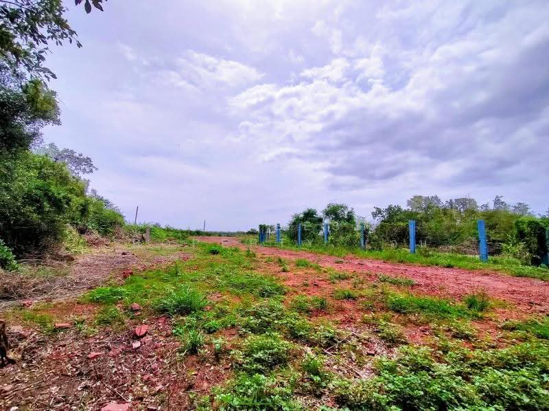 ที่ดินบางหญ้าแพรก สมุทรสาคร, Samut Sakhon, Bang Ya Praek, Muang Samut Sakhon, Samut Sakhon, , 22,977 sqm, Land For Sale, by The Best Property แอน, 500515707 - DDproperty.com