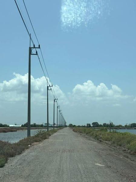ที่ดินบางหญ้าแพรก สมุทรสาคร, Samut Sakhon, Bang Ya Praek, Muang Samut Sakhon, Samut Sakhon, , 22,977 sqm, Land For Sale, by The Best Property แอน, 500515707 - DDproperty.com