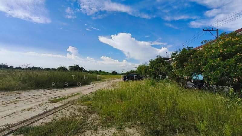 ที่ดินบ้านบึง ชลบุรี, ชลบุรี, หนองซ้ำซาก, บ้านบึง, ชลบุรี, 1,600 ตร.ม., ที่ดิน ขาย, โดย The Best Property ญา, 500515709 - DDproperty.com
