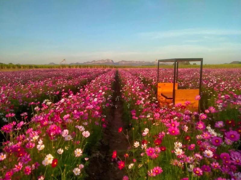 Land for sale, Rangsali, Tha Muang, Kanchanaburi, Rang Sali, Tha Muang, Kanchanaburi, , 15,440 sqm, Land For Sale, by ดลภัทร เพชรจรัสชัย, 500515712 - DDproperty.com