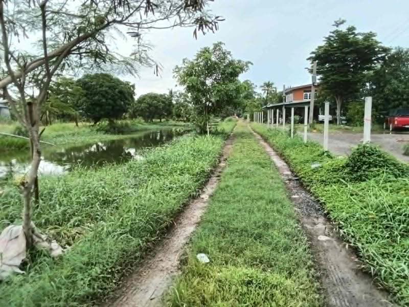 ที่ดินลาดกระบัง กรุงเทพมหานคร, กรุงเทพ, ทับยาว, ลาดกระบัง, กรุงเทพ, 6,376 ตร.ม., ที่ดิน ขาย, โดย The Best Property น้อย, 500515714 - DDproperty.com