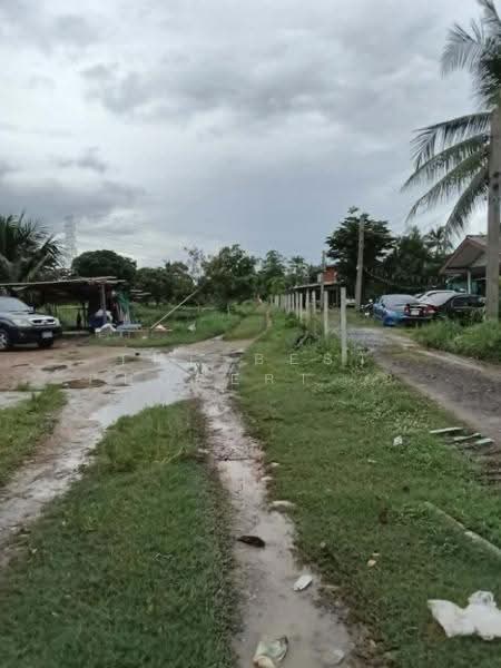 ที่ดินลาดกระบัง กรุงเทพมหานคร, Bangkok, Thab Yao, Lat Krabang, Bangkok, , 6,376 sqm, Land For Sale, by The Best Property น้อย, 500515714 - DDproperty.com