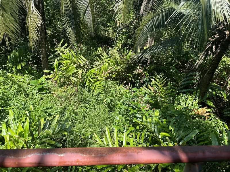 ที่ดินให้ใช้ฟรีเพื่อการเกษตร, Samut Prakan, Bang Nam Phang, Phra Pra Daeng, Samut Prakan, , 18,400 sqm, Land For Rent, by ภาณุพงศ์ พุทธบูชา, 500515720 - DDproperty.com