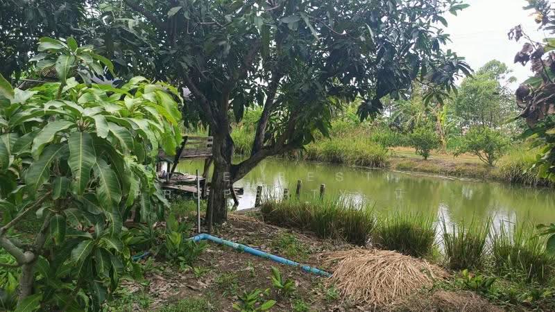 ที่ดินหนองจอก กรุงเทพมหานคร, กรุงเทพ, คลองสิบสอง, หนองจอก, กรุงเทพ, 2,128 ตร.ม., ที่ดิน ขาย, โดย The Best Property นิ, 500515737 - DDproperty.com