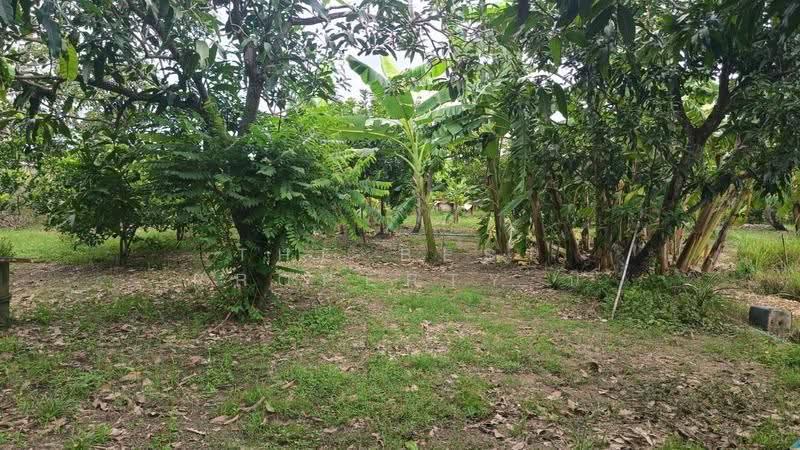 ที่ดินหนองจอก กรุงเทพมหานคร, Bangkok, Khlong Sibsong, Nong Chok, Bangkok, , 2,128 sqm, Land For Sale, by The Best Property นิ, 500515737 - DDproperty.com