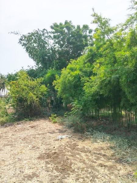 ที่ดินตาคลี นครสวรรค์, Nakhon Sawan, Phrom Nimitr, Takhli, Nakhon Sawan, , 1,636 sqm, Land For Sale, by The Best Property โย, 500515745 - DDproperty.com