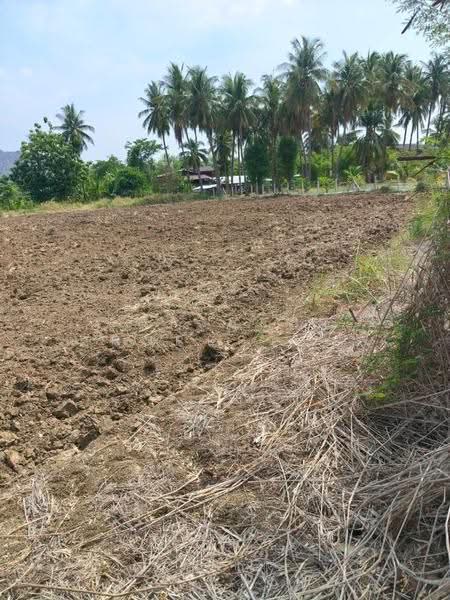ที่ดินตาคลี นครสวรรค์, Nakhon Sawan, Phrom Nimitr, Takhli, Nakhon Sawan, , 1,636 sqm, Land For Sale, by The Best Property โย, 500515745 - DDproperty.com